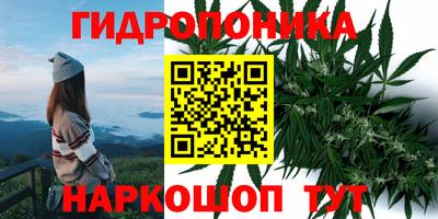 мдпв Пенза