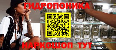 мдпв Пенза