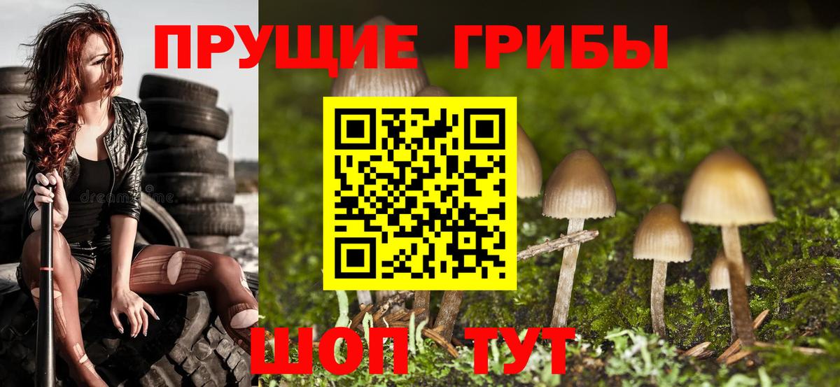 Галлюциногенные грибы ЛСД Тамбов