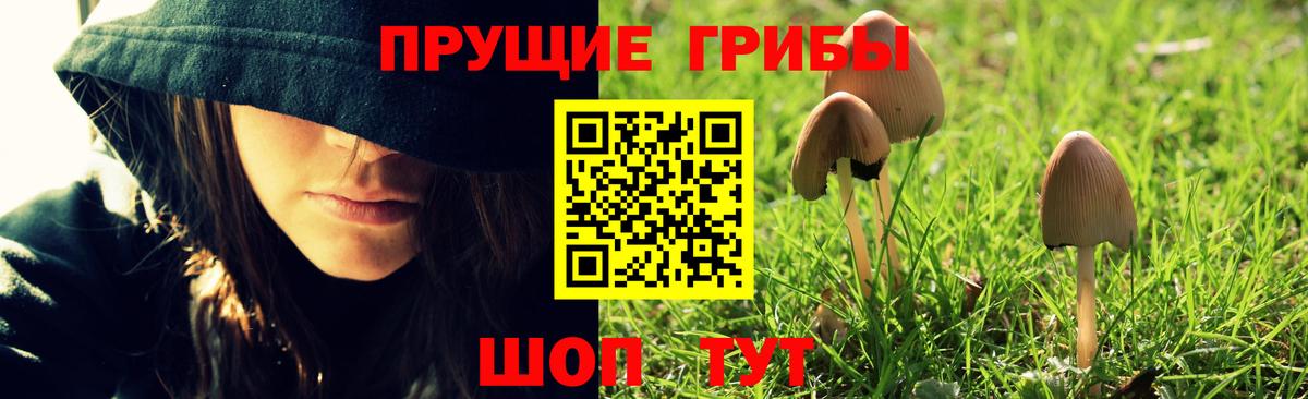Тамбов  Галлюциногенные грибы Cubensis  Вход с VPN 